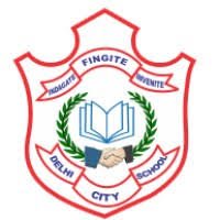  Delhi City School (B.B. Nagar, NCR – Near Hapur), UP Logo